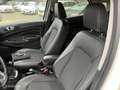 Ford EcoSport 1.0 EcoBoost Titanium Weiß - thumbnail 10
