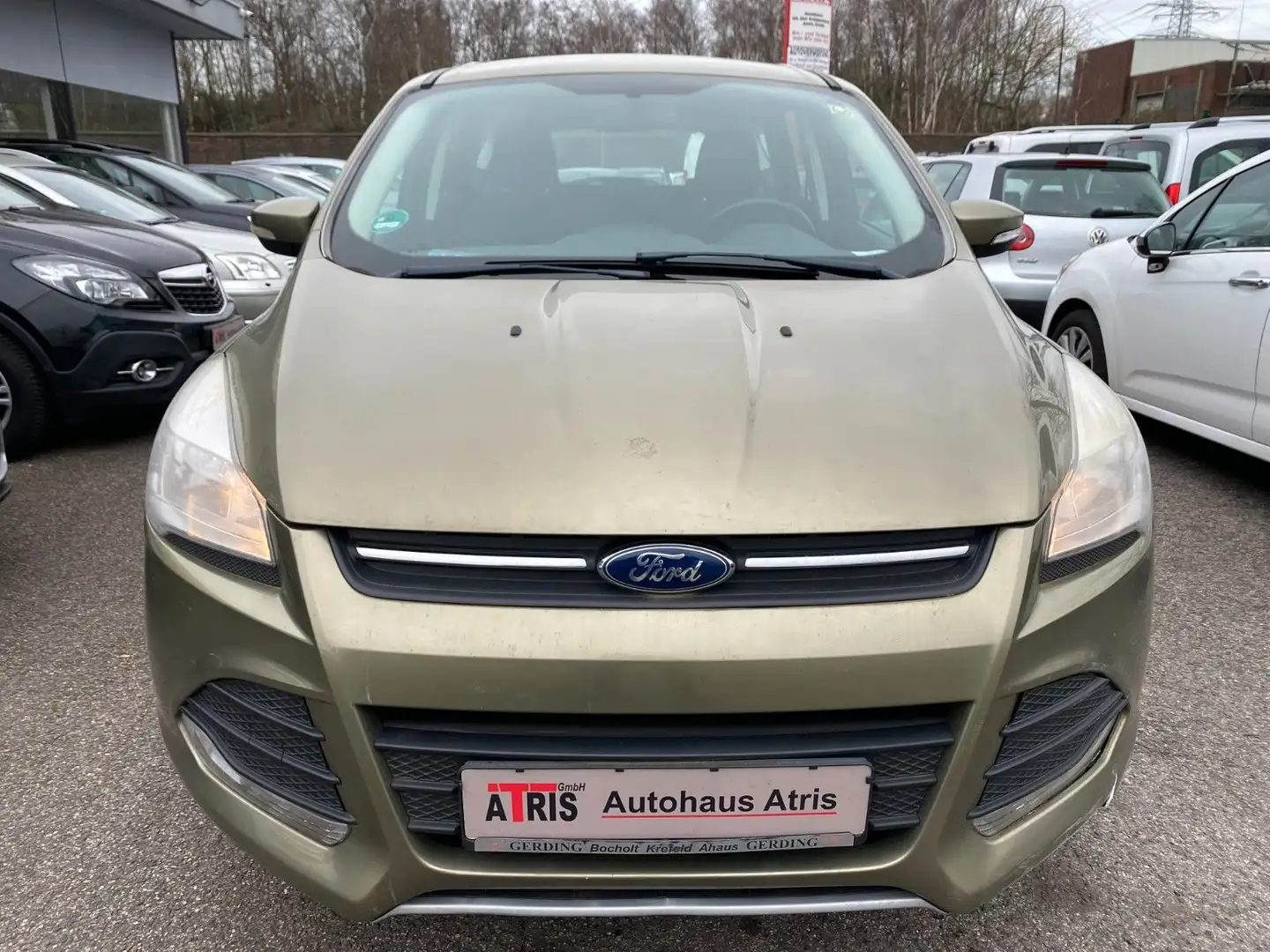 Ford Kuga Trend Green - 1