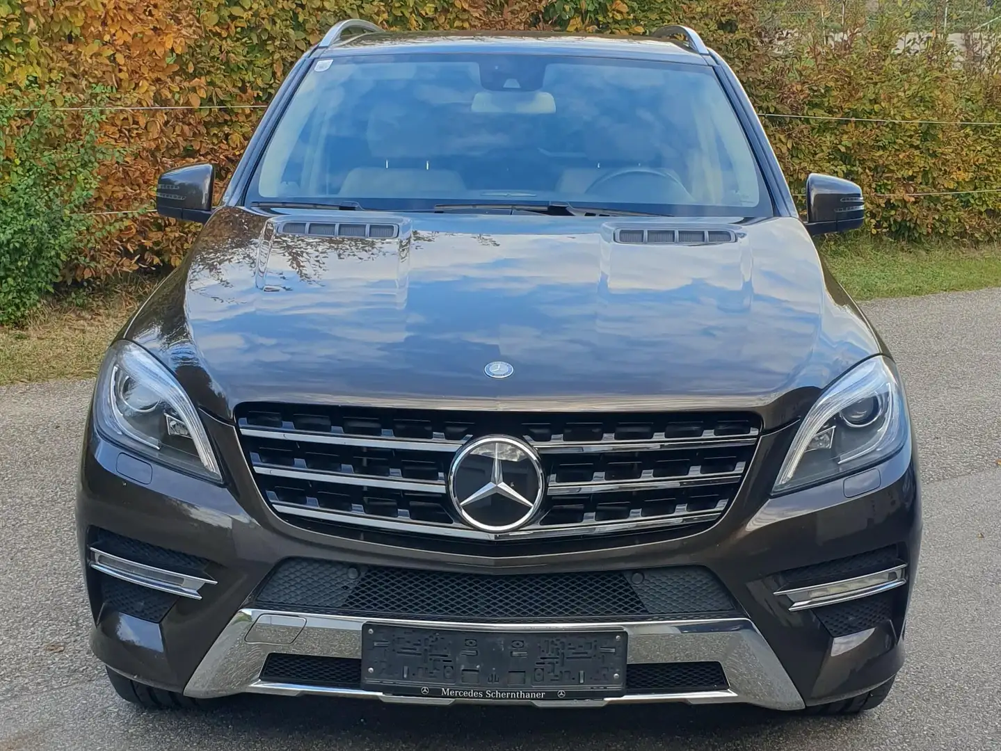 Mercedes-Benz ML 350 ML 350 BlueTEC 4MATIC Aut. DPF Maro - 2