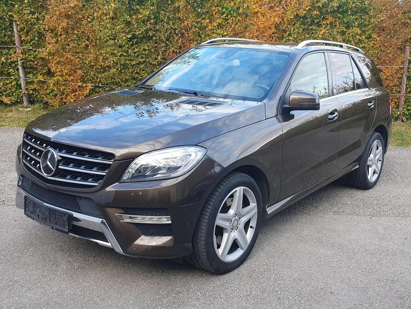 Mercedes-Benz ML 350 ML 350 BlueTEC 4MATIC Aut. DPF Maro - 1