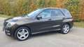 Mercedes-Benz ML 350 ML 350 BlueTEC 4MATIC Aut. DPF Maro - thumbnail 3