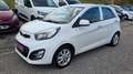 Kia Picanto BOITE AUTO 1.2 85CH PREMIUM 2013 CUIR CLIM RADAR... Blanc - thumbnail 1