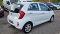 Kia Picanto BOITE AUTO 1.2 85CH PREMIUM 2013 CUIR CLIM RADAR... Blanc - thumbnail 2