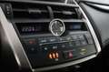 Lexus NX 300h Gris - thumbnail 23