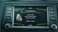 SEAT Ibiza 1.0 EcoTSI FR Connect AUTOMAAT LED CLIMA CRUISE Grau - thumbnail 43