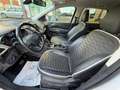 Ford Kuga 2.0 TDCi 180CV S&S 4WD AUTOMATICA VIGNALE Bianco - thumbnail 5