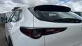 Mazda CX-30 2025 2.5 e-SKYACTIV G MHEV 140CV 6MT FWD PRIME LIN Blanco - thumbnail 19
