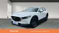 Mazda CX-30 2025 2.5 e-SKYACTIV G MHEV 140CV 6MT FWD PRIME LIN Blanco - thumbnail 1