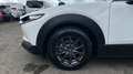 Mazda CX-30 2025 2.5 e-SKYACTIV G MHEV 140CV 6MT FWD PRIME LIN Blanco - thumbnail 10