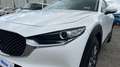 Mazda CX-30 2025 2.5 e-SKYACTIV G MHEV 140CV 6MT FWD PRIME LIN Blanco - thumbnail 18