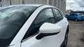 Mazda CX-30 2025 2.5 e-SKYACTIV G MHEV 140CV 6MT FWD PRIME LIN Blanco - thumbnail 21