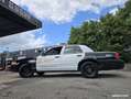 Ford Crown Police Interceptor 4.6 V8 Nero - thumbnail 6