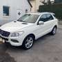 Mercedes-Benz ML 250 ML 250 CDI BlueTec (166.004) Weiß - thumbnail 7