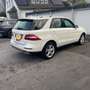 Mercedes-Benz ML 250 ML 250 CDI BlueTec (166.004) Weiß - thumbnail 3