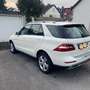 Mercedes-Benz ML 250 ML 250 CDI BlueTec (166.004) Weiß - thumbnail 6