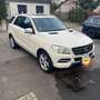 Mercedes-Benz ML 250 ML 250 CDI BlueTec (166.004) Weiß - thumbnail 1