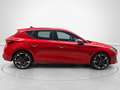 CUPRA Leon 1.5 ETSI DSG 110Kw Rojo - thumbnail 2