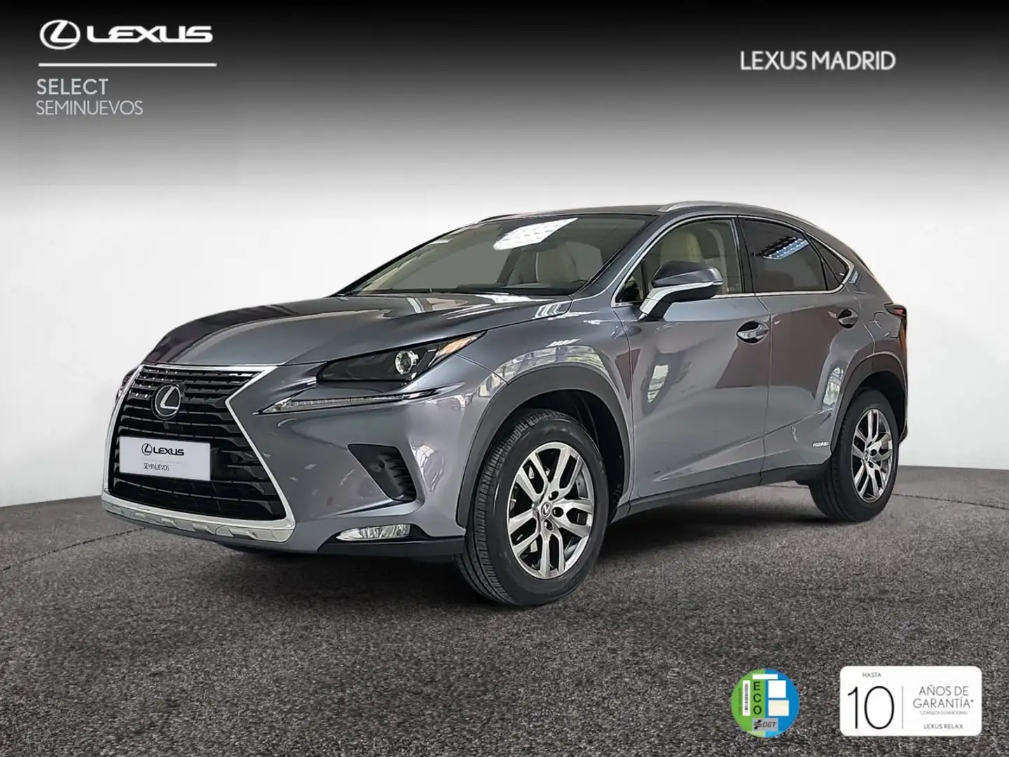 Lexus NX 300 300h Executive Navigation 4WD Grau - 1