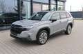 Subaru Forester 2.0ie Platinum  MJ 2025 neues Modell Grau - thumbnail 2