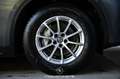 Alfa Romeo Stelvio 2.2 JTDM Business Q4 Pickerl NEU Grau - thumbnail 7