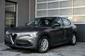 Alfa Romeo Stelvio 2.2 JTDM Business Q4 Pickerl NEU Grau - thumbnail 1