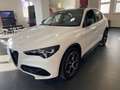 Alfa Romeo Stelvio VELOCE 2.2 Diesel  Q4 Weiß - thumbnail 7