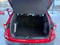 Ford Kuga 2,5L Duratec 4x4 Automatik Rot - thumbnail 15
