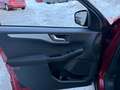 Ford Kuga 2,5L Duratec 4x4 Automatik Rot - thumbnail 6