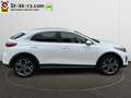 Kia XCeed 1.6 GDi PHEV DynamicLine 18 inch. LM, Aut. achterk Wit - thumbnail 2
