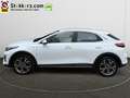 Kia XCeed 1.6 GDi PHEV DynamicLine 18 inch. LM, Aut. achterk Wit - thumbnail 9