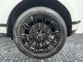 Land Rover Range Rover Evoque D200 Dynamic SE ACC CAM LED Blanc - thumbnail 14