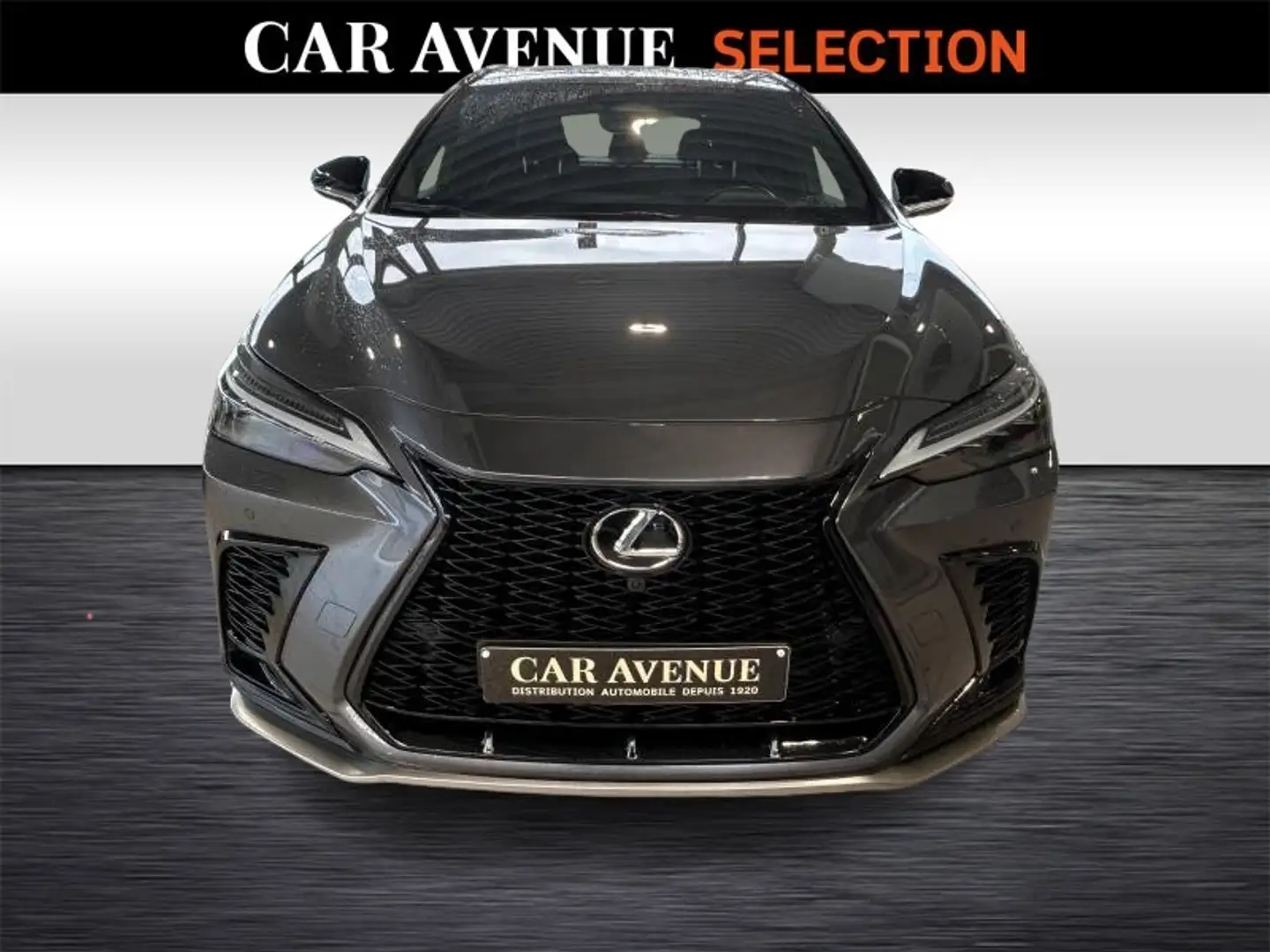 Lexus NX 450h+ F SPORT Line Gris - 2