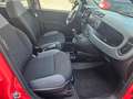 Fiat Panda 1.2 Easy | 1.Hand | Zahnriemen gewechselt Rot - thumbnail 13