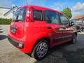 Fiat Panda 1.2 Easy | 1.Hand | Zahnriemen gewechselt Rot - thumbnail 6