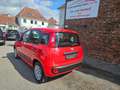 Fiat Panda 1.2 Easy | 1.Hand | Zahnriemen gewechselt Rot - thumbnail 5