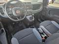 Fiat Panda 1.2 Easy | 1.Hand | Zahnriemen gewechselt Rot - thumbnail 10