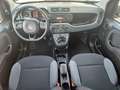 Fiat Panda 1.2 Easy | 1.Hand | Zahnriemen gewechselt Rot - thumbnail 11