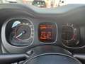 Fiat Panda 1.2 Easy | 1.Hand | Zahnriemen gewechselt Rot - thumbnail 16