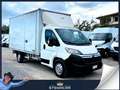 Citroen Jumper 35 L4 2.0 bluehdi 160CV +iva Blanc - thumbnail 1