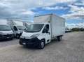Citroen Jumper 35 L4 2.0 bluehdi 160CV +iva Wit - thumbnail 3