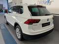 Volkswagen Tiguan Tiguan II 2.0 tdi Business 4motion 150cv dsg 1prop Weiß - thumbnail 20