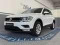 Volkswagen Tiguan Tiguan II 2.0 tdi Business 4motion 150cv dsg 1prop Weiß - thumbnail 6