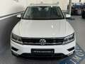 Volkswagen Tiguan Tiguan II 2.0 tdi Business 4motion 150cv dsg 1prop Weiß - thumbnail 3