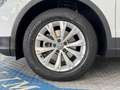 Volkswagen Tiguan Tiguan II 2.0 tdi Business 4motion 150cv dsg 1prop Weiß - thumbnail 8