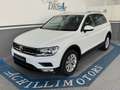 Volkswagen Tiguan Tiguan II 2.0 tdi Business 4motion 150cv dsg 1prop Weiß - thumbnail 2