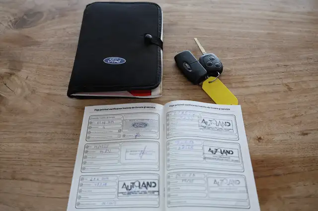 Ford Fiesta view 19