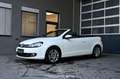 Volkswagen Golf VI Cabrio 1.4 TSI Pickerl NEU EXP € 8.983,- Weiß - thumbnail 1