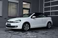 Volkswagen Golf VI Cabrio 1.4 TSI Pickerl NEU EXP € 8.983,- Weiß - thumbnail 7