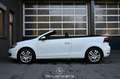 Volkswagen Golf VI Cabrio 1.4 TSI Pickerl NEU EXP € 8.983,- Weiß - thumbnail 6