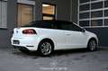 Volkswagen Golf VI Cabrio 1.4 TSI Pickerl NEU EXP € 8.983,- Weiß - thumbnail 8